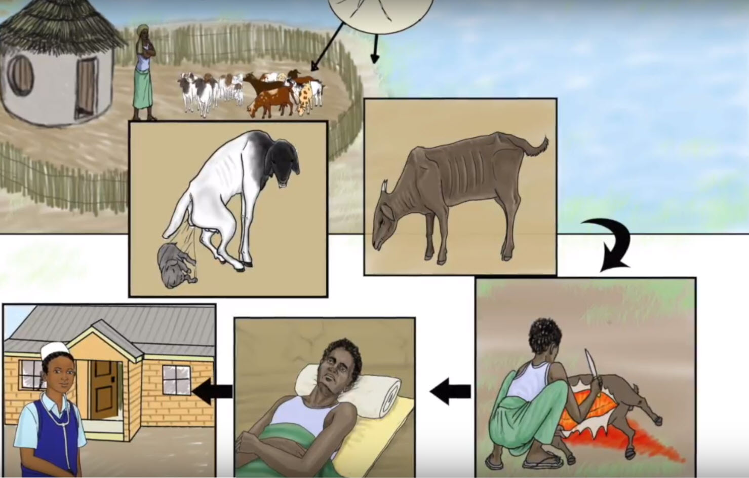 Introducing English and Swahili instructional videos on the patterns, signs, symptoms and control of Rift Valley fever